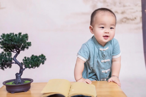 开封可爱的企鹅宝宝